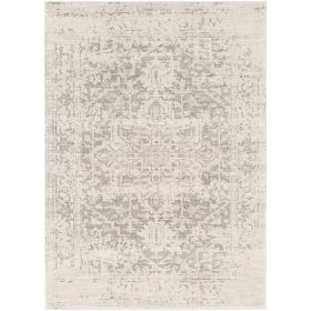 3' x 5' Distressed Oriental Area Rug in Light Grey / Beige