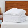 Queen Size Cozy All Seasons Plush White Polyester Down Alternative Comforter